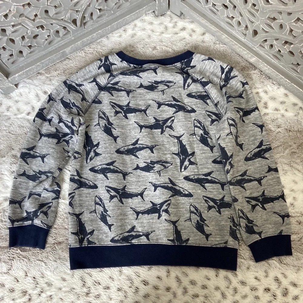 Gymboree gray sweat